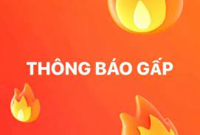 Thông báo v/v nộp chứng chỉ Tiếng Anh để được quy đổi xét miễn học các học phần Anh văn 1,2 đối với sinh viên Khóa 12